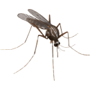 Дезинфекция от комаров
